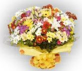 FLORES DO CAMPO GIGANTE LUXO